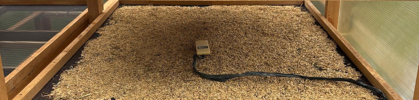 Solar Drier Rice Solar Dryer for Rice Grain | Solutions Catalog Kopernik