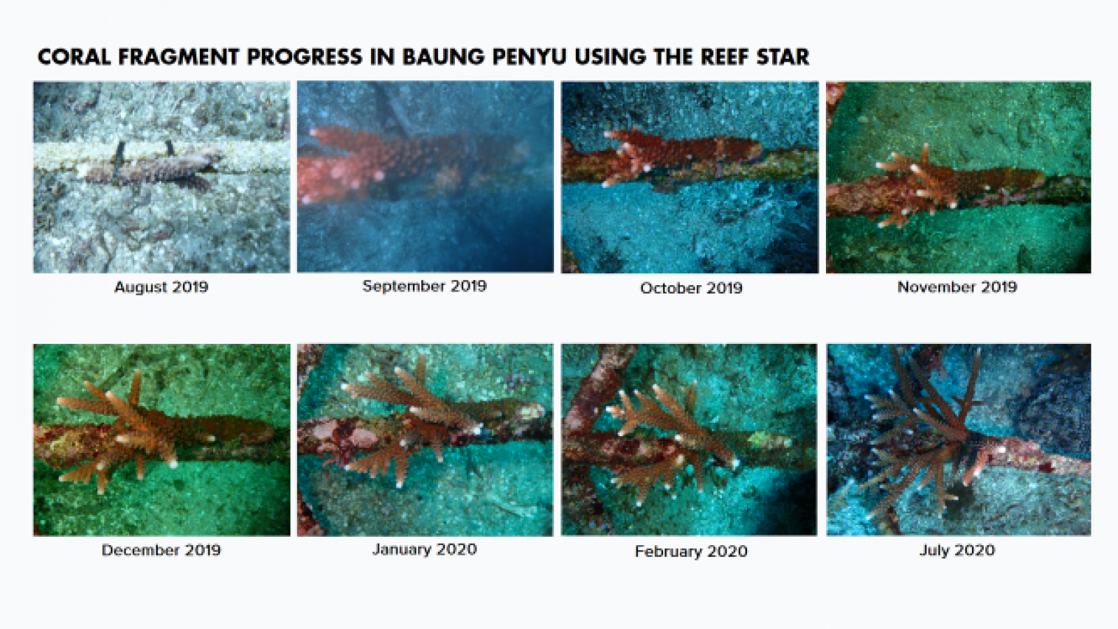 Evaporative Desalination System Solutions Catalog Kopernik